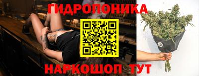 стафф Ставрополь
