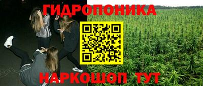 стафф Ставрополь