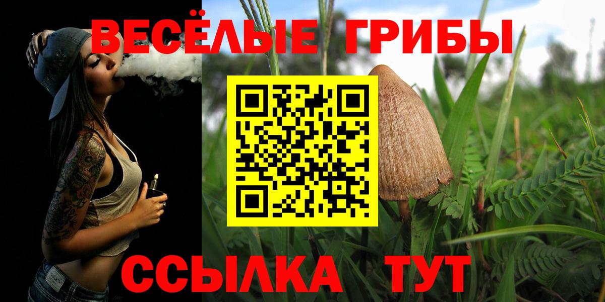 Рубцовск  Псилоцибиновые грибы GOLDEN TEACHER  цена   Вход с VPN 