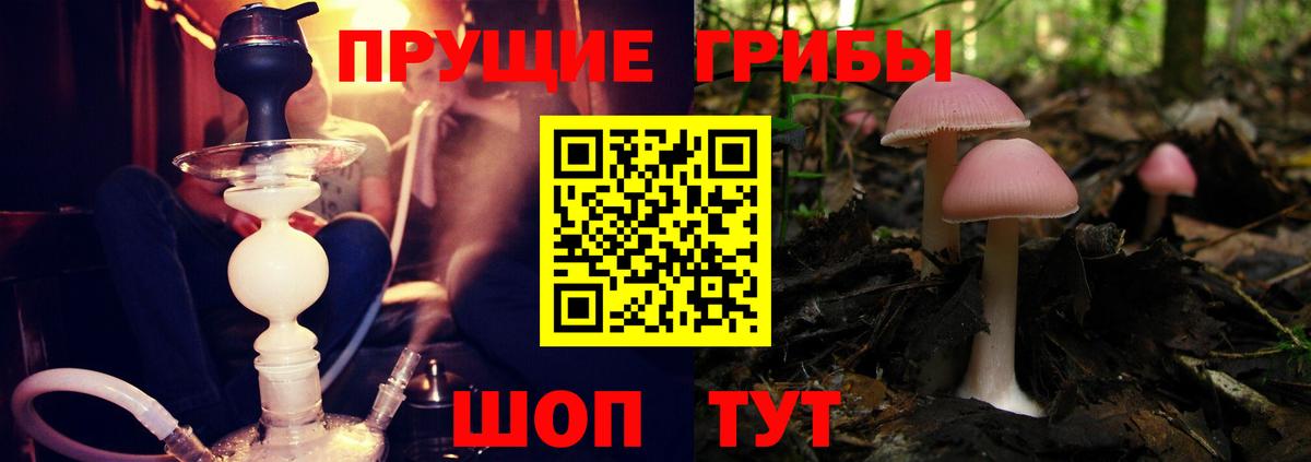 Псилоцибиновые грибы ЛСД Рубцовск